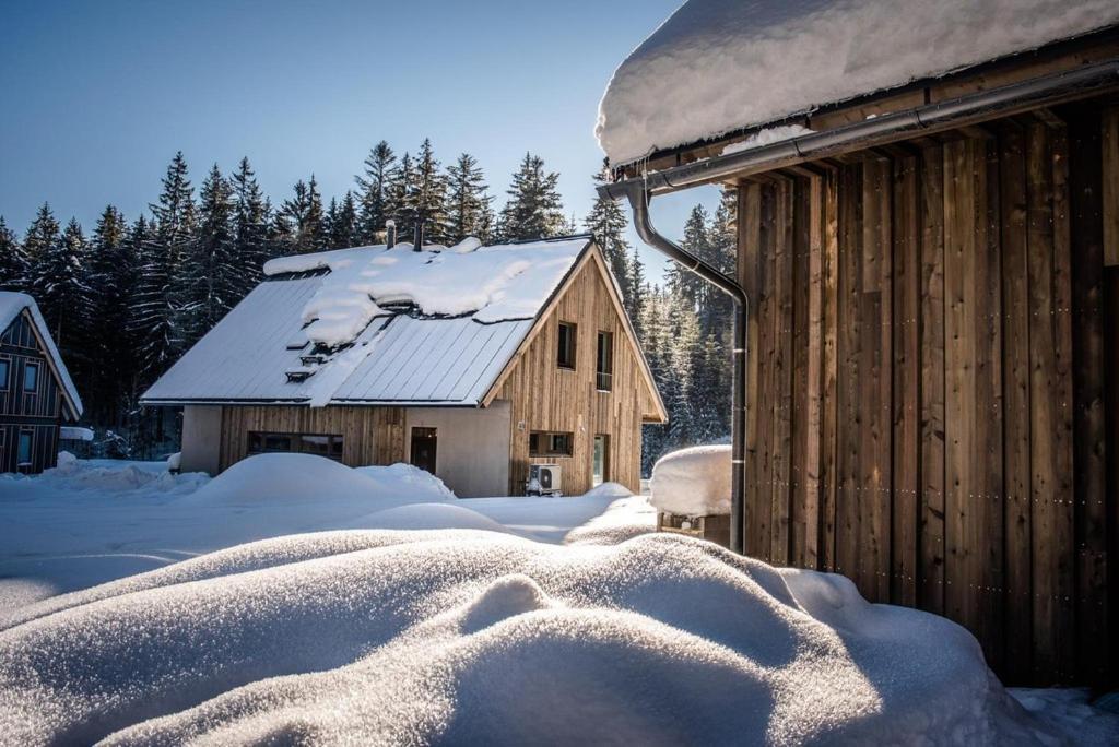 ヤンスケー・ラーズニェJankuv Zlaty Hamrアパートメント エクステリア 写真