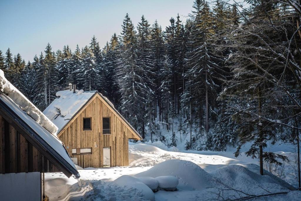 ヤンスケー・ラーズニェJankuv Zlaty Hamrアパートメント エクステリア 写真